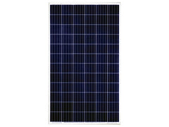 Dayliff 280W Multicrystalline Solar Module 24VDC