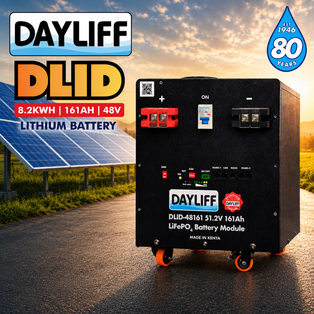DAYLIFF DLID 8.2KWH 161AH 48V GROUND MOUNT LITHIUM ION BATTERY