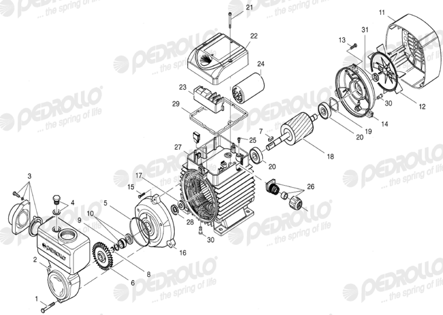 PEDROLLO PKSm60 0.37KW 1PH PUMP