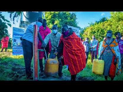 Dayliff Sunflo-B2 800C3 Solar Pumping System